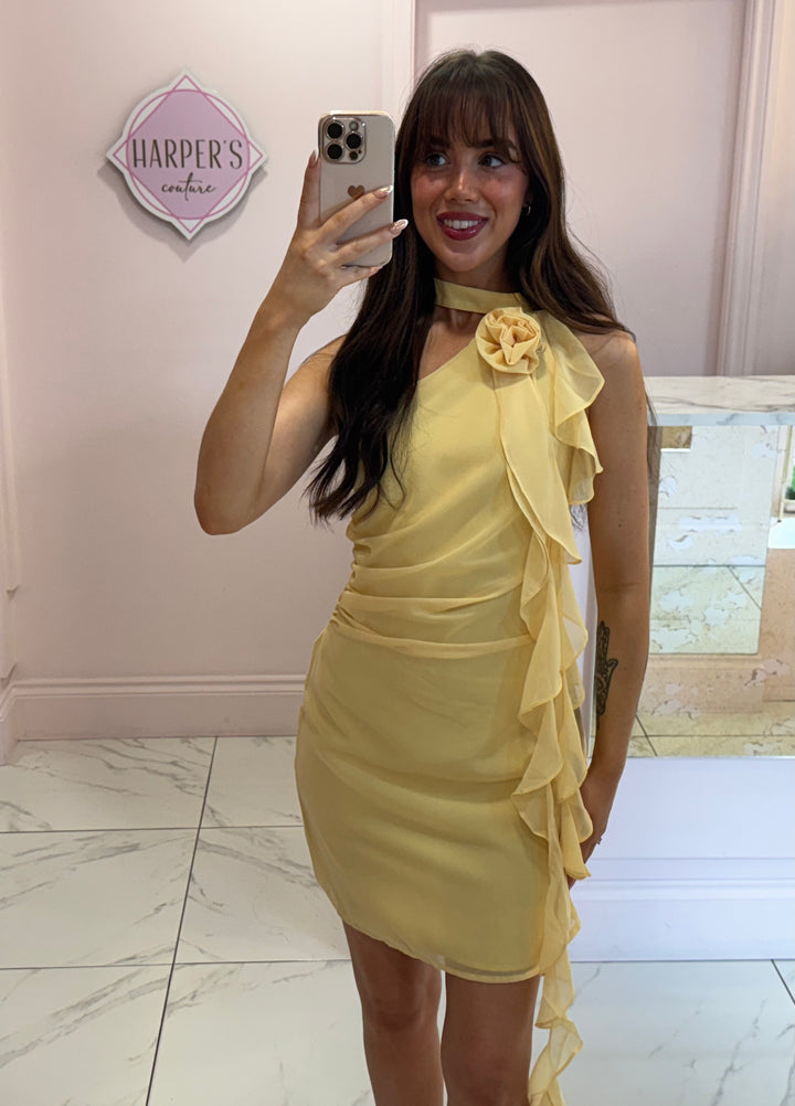 Rosie Yellow Corsage & Sash Dress