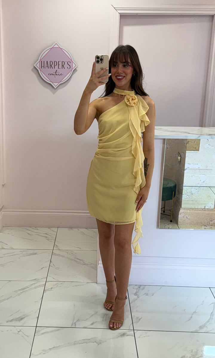 Rosie Yellow Corsage & Sash Dress