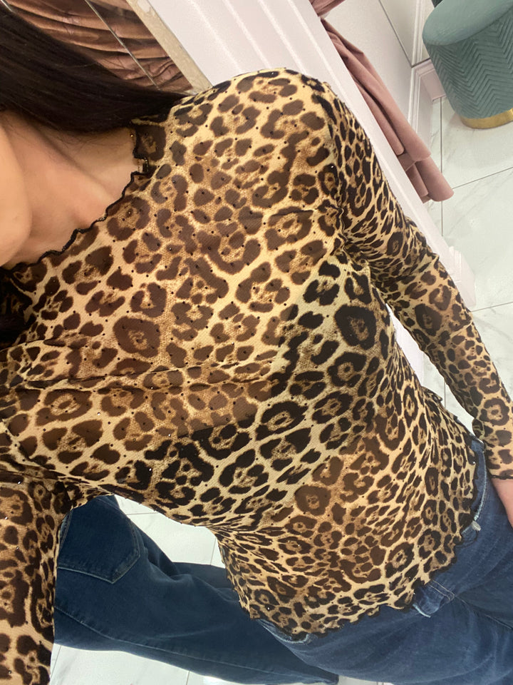 Bella Leopard Mesh long Sleeve Top