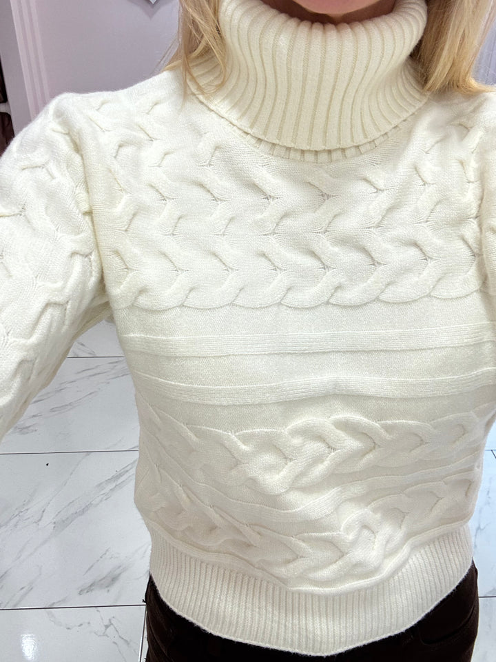 Jenner Super Soft Roll Neck Knit Sweater/Jumper