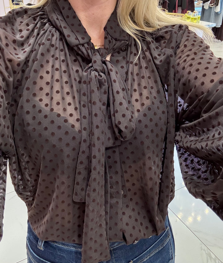 Pearla Chocolate Flock Polka Dot Print Bow Blouse