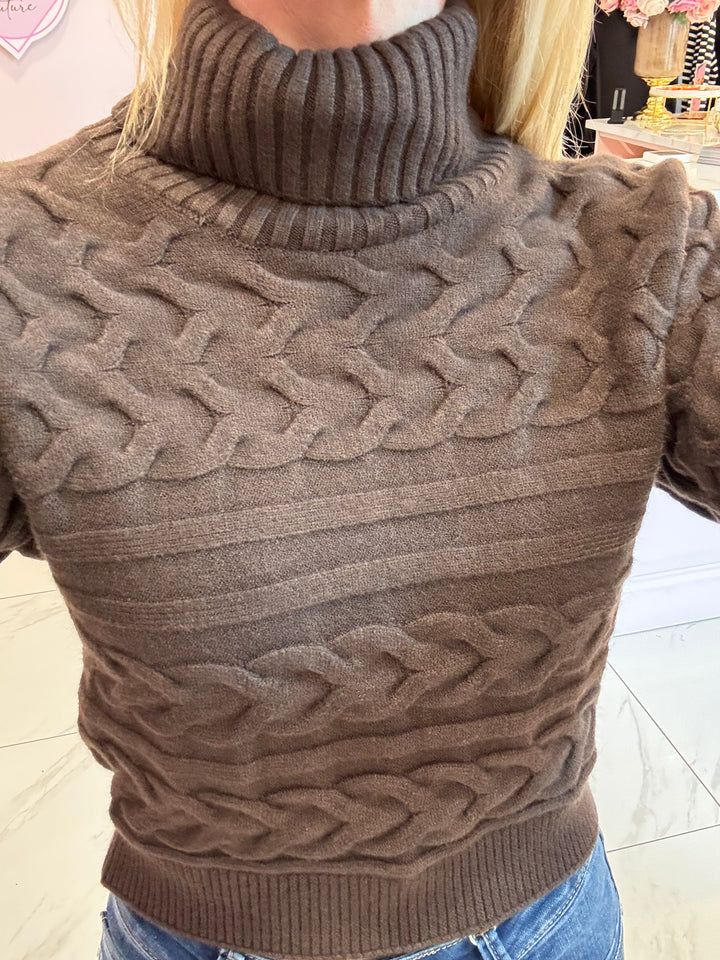 Jenner Super Soft Roll Neck Knit Sweater/Jumper